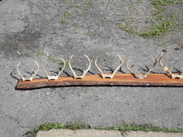 Image 2 / 3