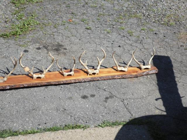 Image 3 / 3