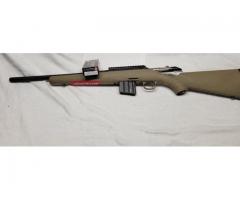 Multiple Firearms ( 350, 9mm)