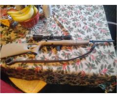 mossberg 802 plinkster.22 rifle