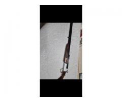 Savage Model 24DL
