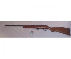 Marlin 25 22lr