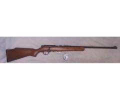 Marlin 25 22lr