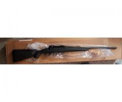 Remington 783 243 22in