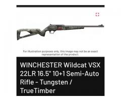 Semi auto 22lr for shotgun, compound bow