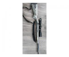 Ruger target 22lr