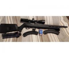 Ruger 10-22