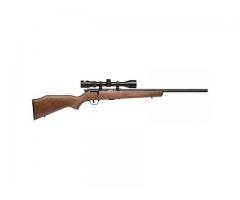 Savage 17hmr