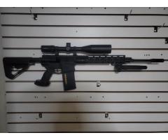 AR10 in 308