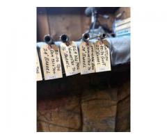 Barrels for sale .  Priced to sell $90-$125