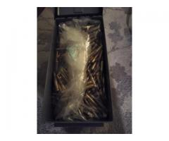 Lake City 5.56 x 45 X193 55 grain FMJ