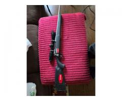 Savage Axis stainless