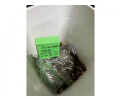 9mm Cleaned Brass $40 per 1000  with free ammo Can or $50 Per 2000 With Free Ammo Can