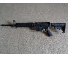 Delton Sierra 316H 5.56mm Semi-Automatic AR-15 Rifle