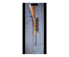 Ruger 77M Chambered in 243