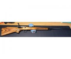 Remington 700 VLS .243