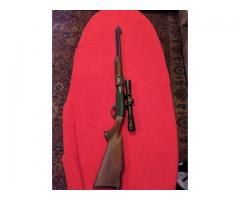 Exceptional Remington 572