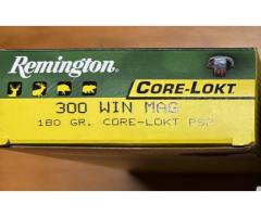 300 Win Mag new ammo