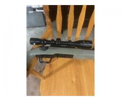 Springfield 2020 22LR