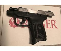Ruger lcp max 380