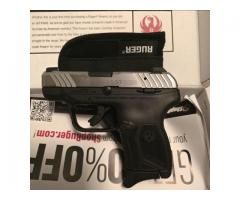 Ruger lcp max 380