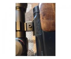 Daisey model 2202 22lr