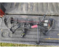 **Nice bow for gun**