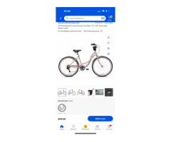 New Cruiser woman’s bike