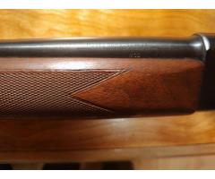 Very Nice Winchester Model 50 20 gauge
