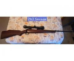 243 Savage