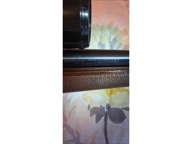 Image 2 / 4