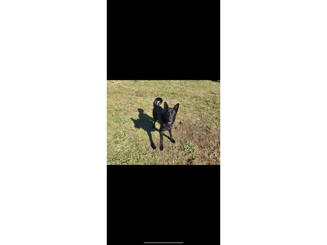Image 1 / 1