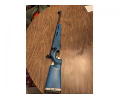 JM Marlin model 2000 Biathalon target 22