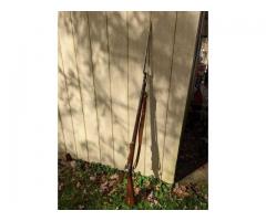US Springfield 1873 45/70 excellent survivor