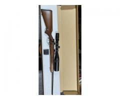 CZ 527 American 204 Ruger