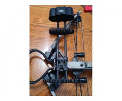 Bear crossbow