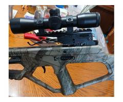 Bear crossbow