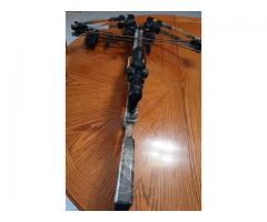 Bear crossbow