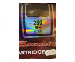 Remington 700 LSS Mountain