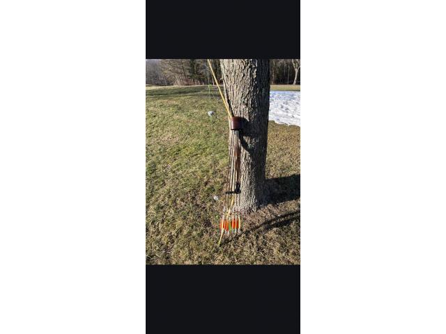 Image 1 / 5