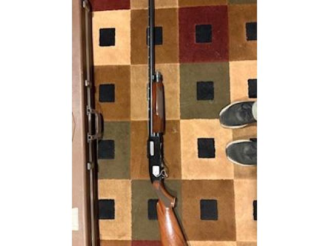 Image 1 / 1