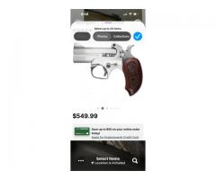 Bond arms snake slayer