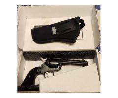 Ruger rangler 22