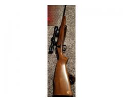 Remington 788, 243win.