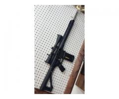 Ar10-308 bolt action