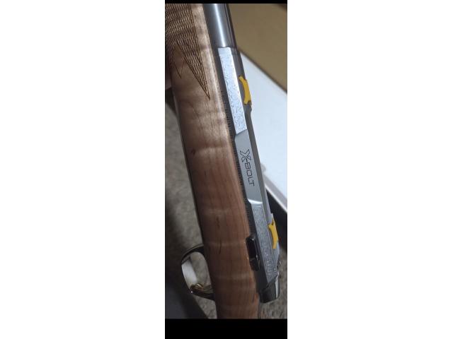 Image 4 / 5