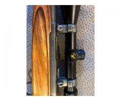 Ruger 77 All Weather 22 Hornet with Scope