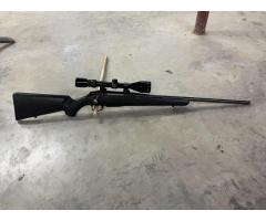 Tikka T3 243 Winchester