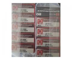 Hornady Superformance 53gr VMAX