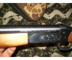 winchester   20 gauge